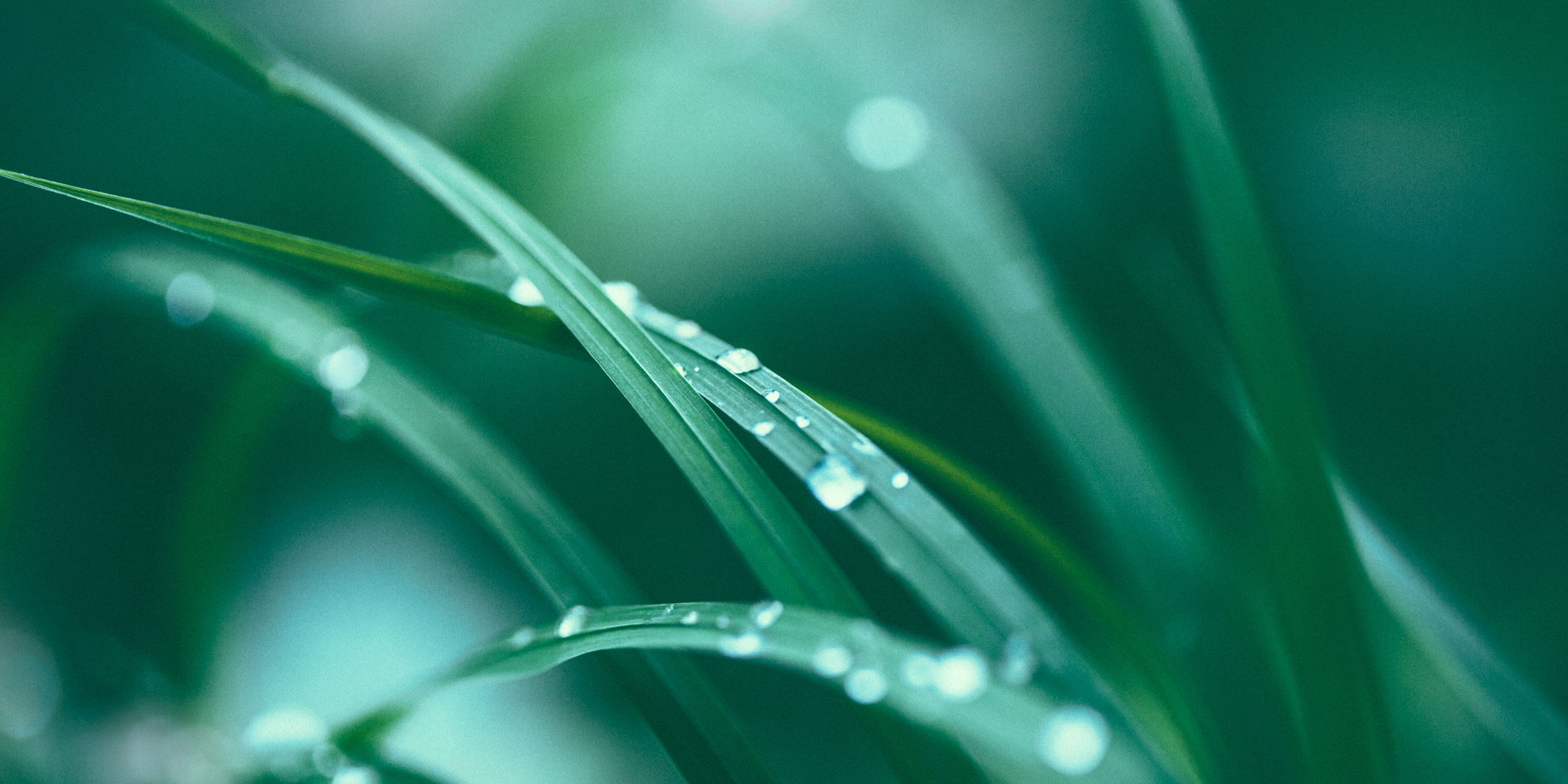 Barrow Hanley Emerging Markets Fund