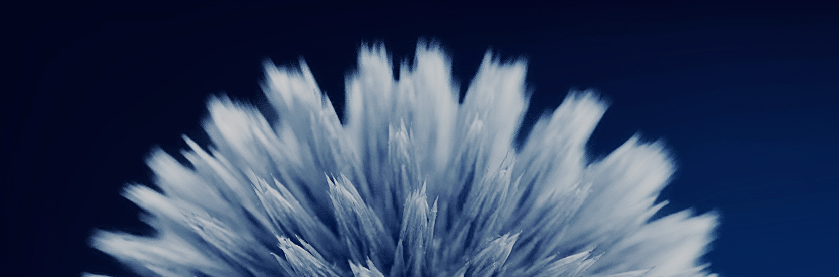 Power of Attorney and Lifestyle Assistance