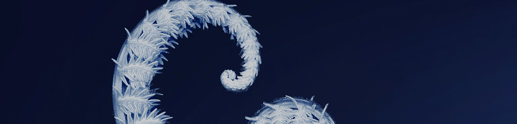 Supporting senior living and aged care providers