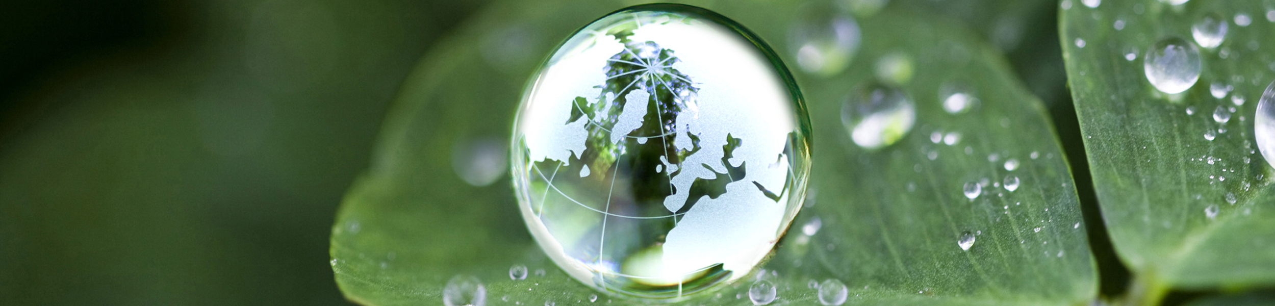 A singular focus on global value